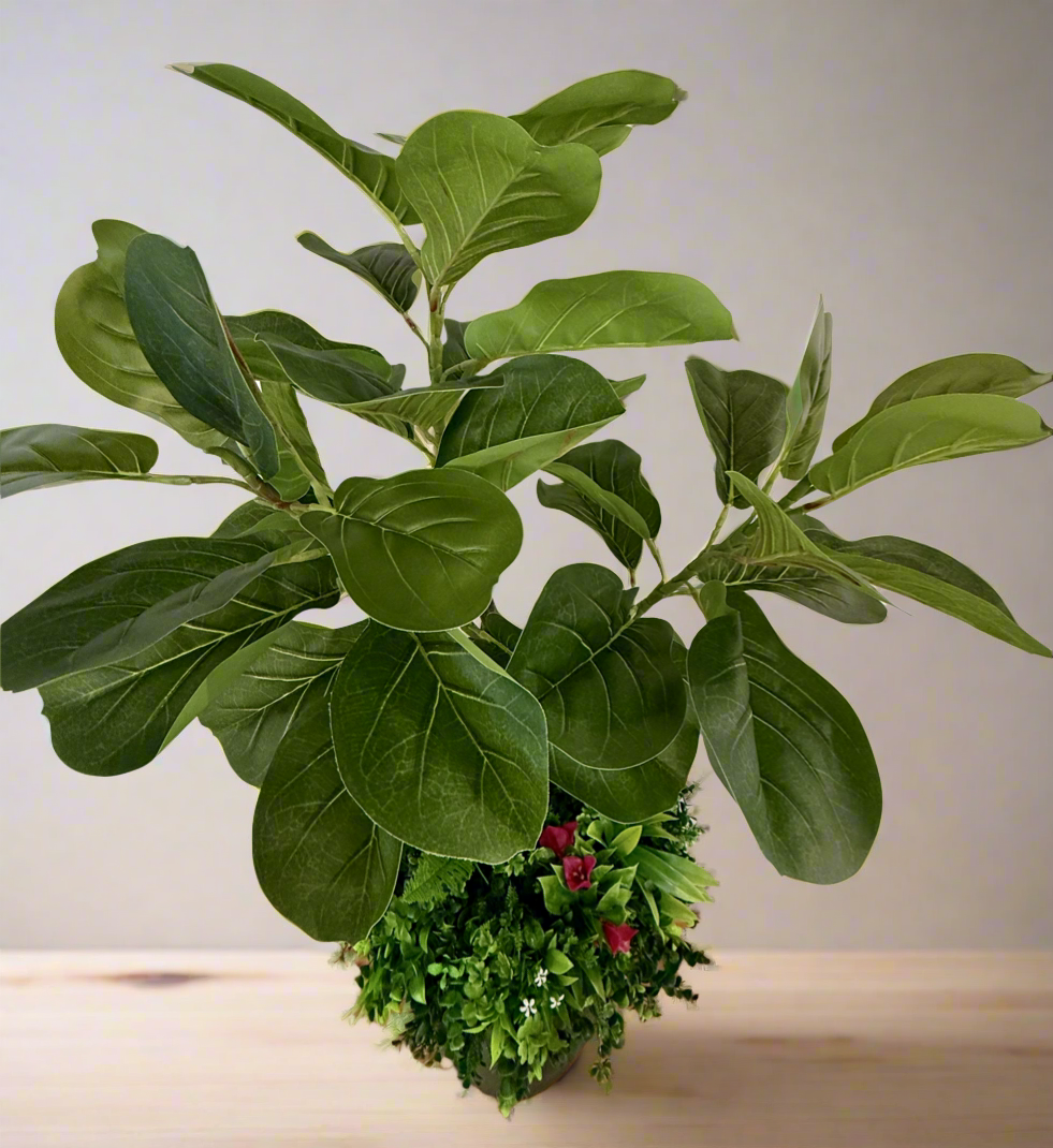 Real Touch Fiddle Leaf Tree Duo