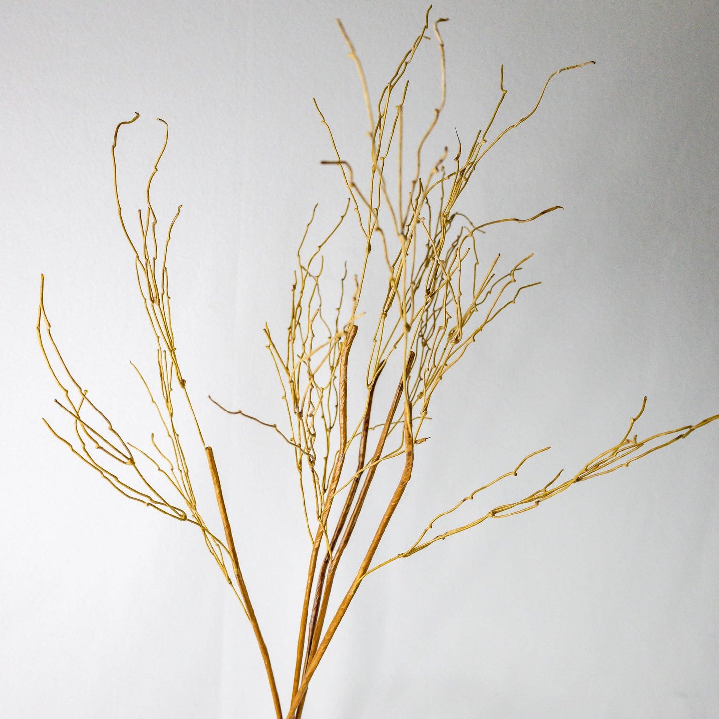Dodo Branch Twigs: Single Stem