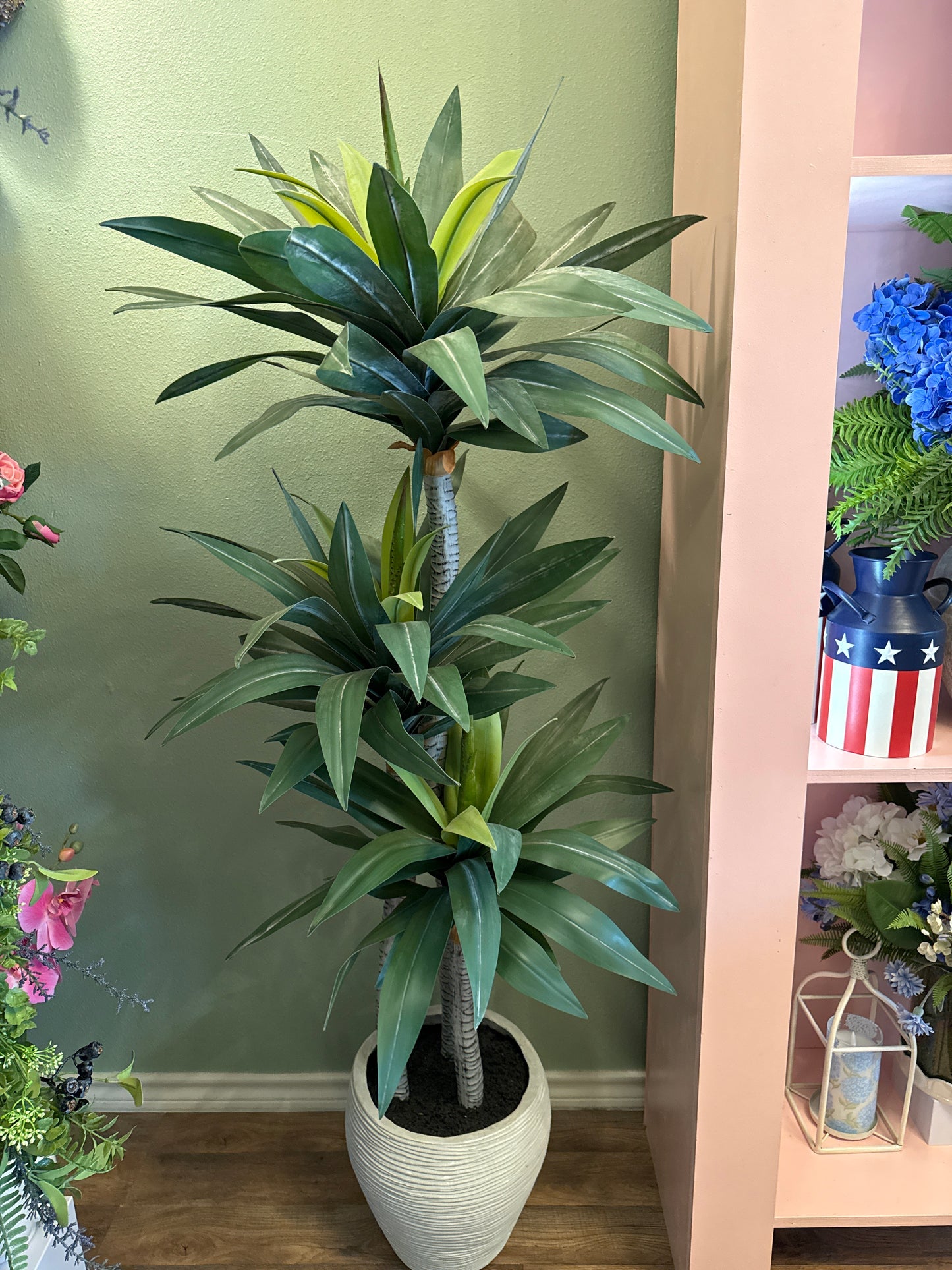 Yucca Tree