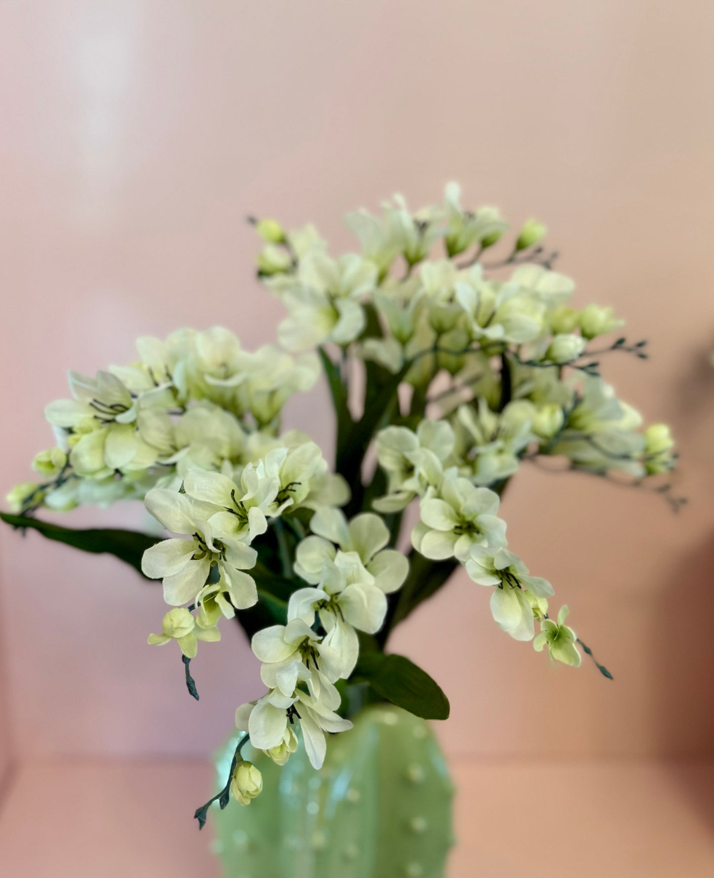 Lush Freesia Bush