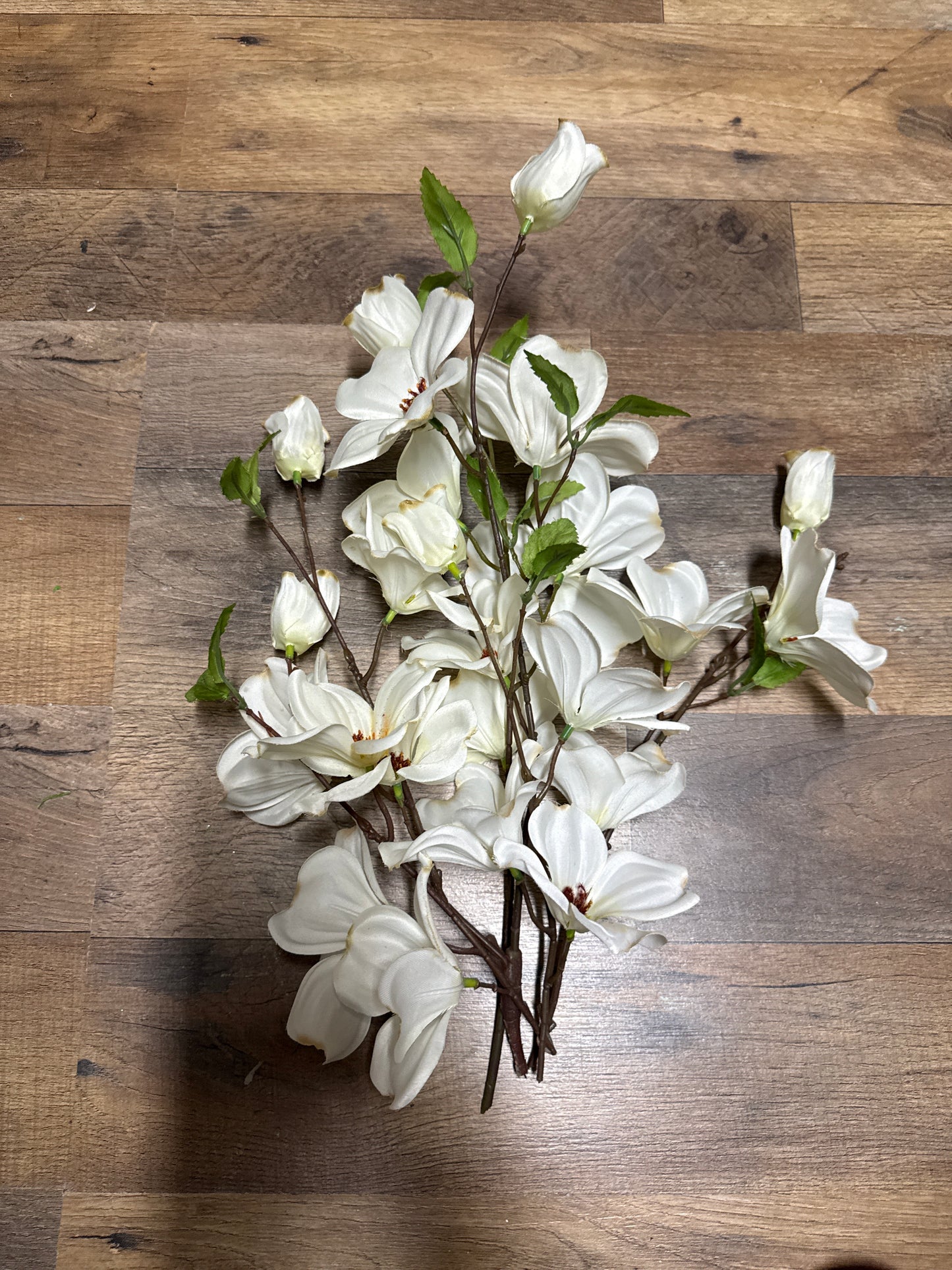 Small bouquet of Dogwwoods
