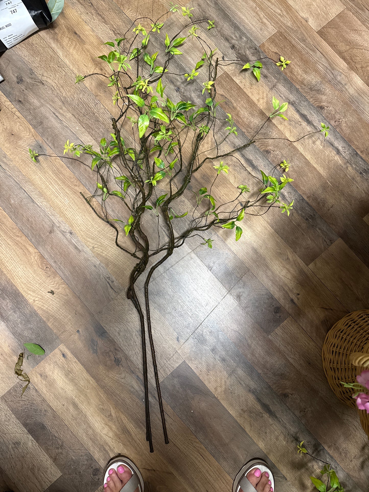 4’ Twig Branches