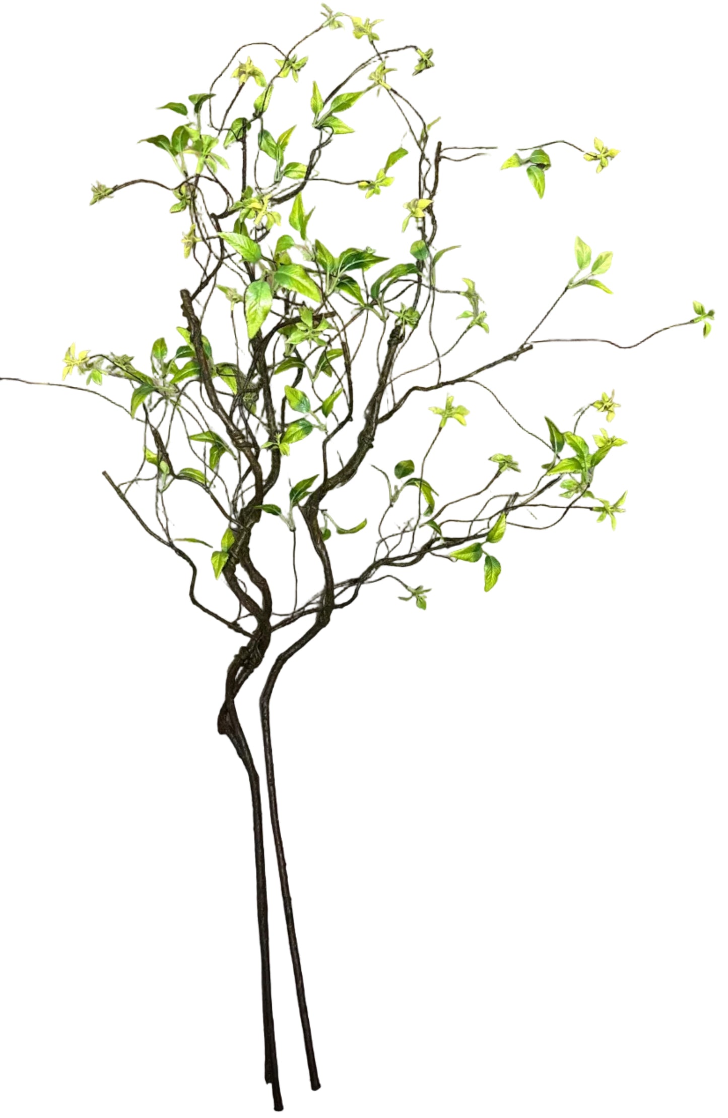 4’ Twig Branches
