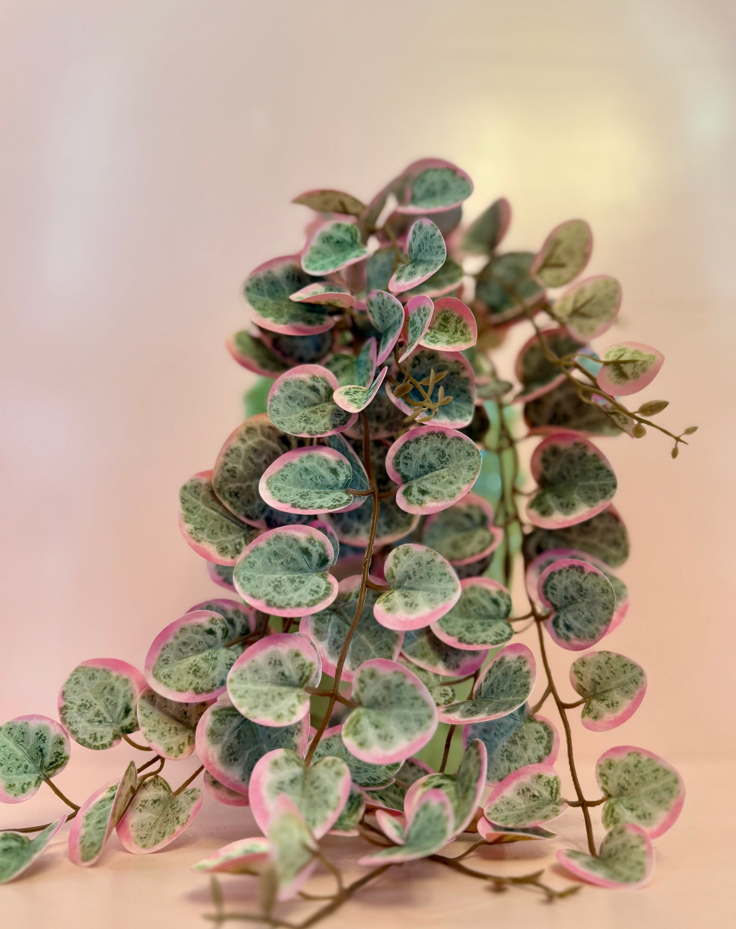 Real Touch Hanging Eucalyptus
