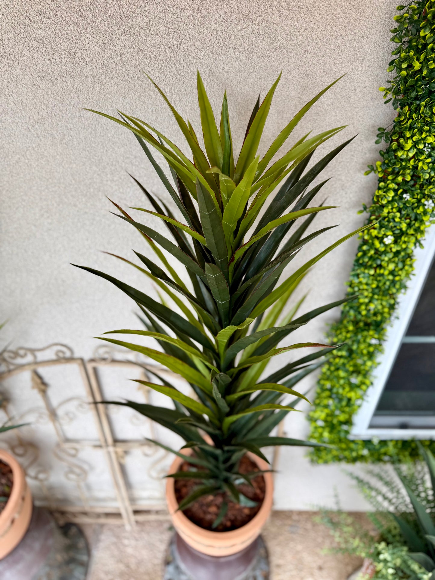 50” Lifelike Potted Yucca
