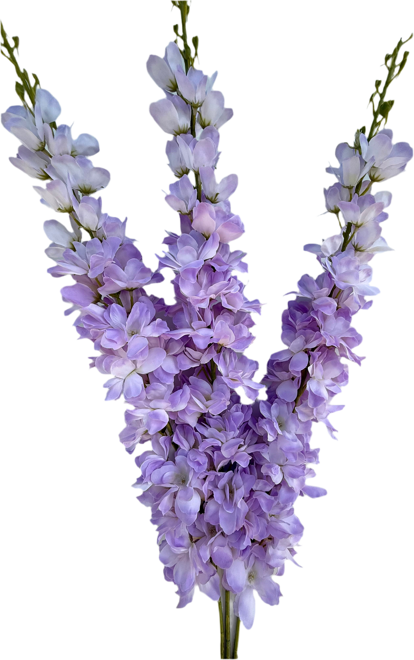 Delphinium Stems, Set of 3