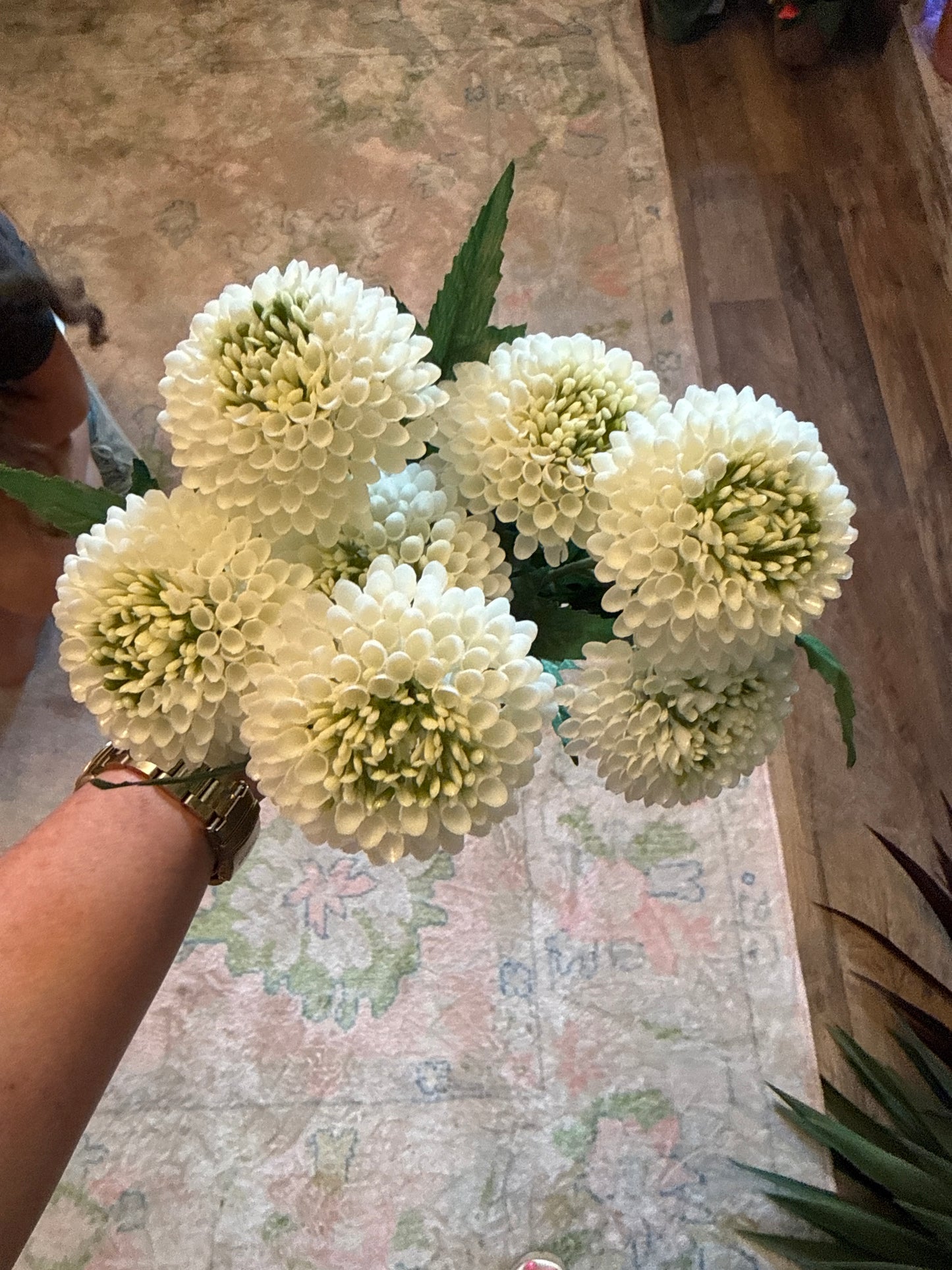 UV Outdoor Zinnia