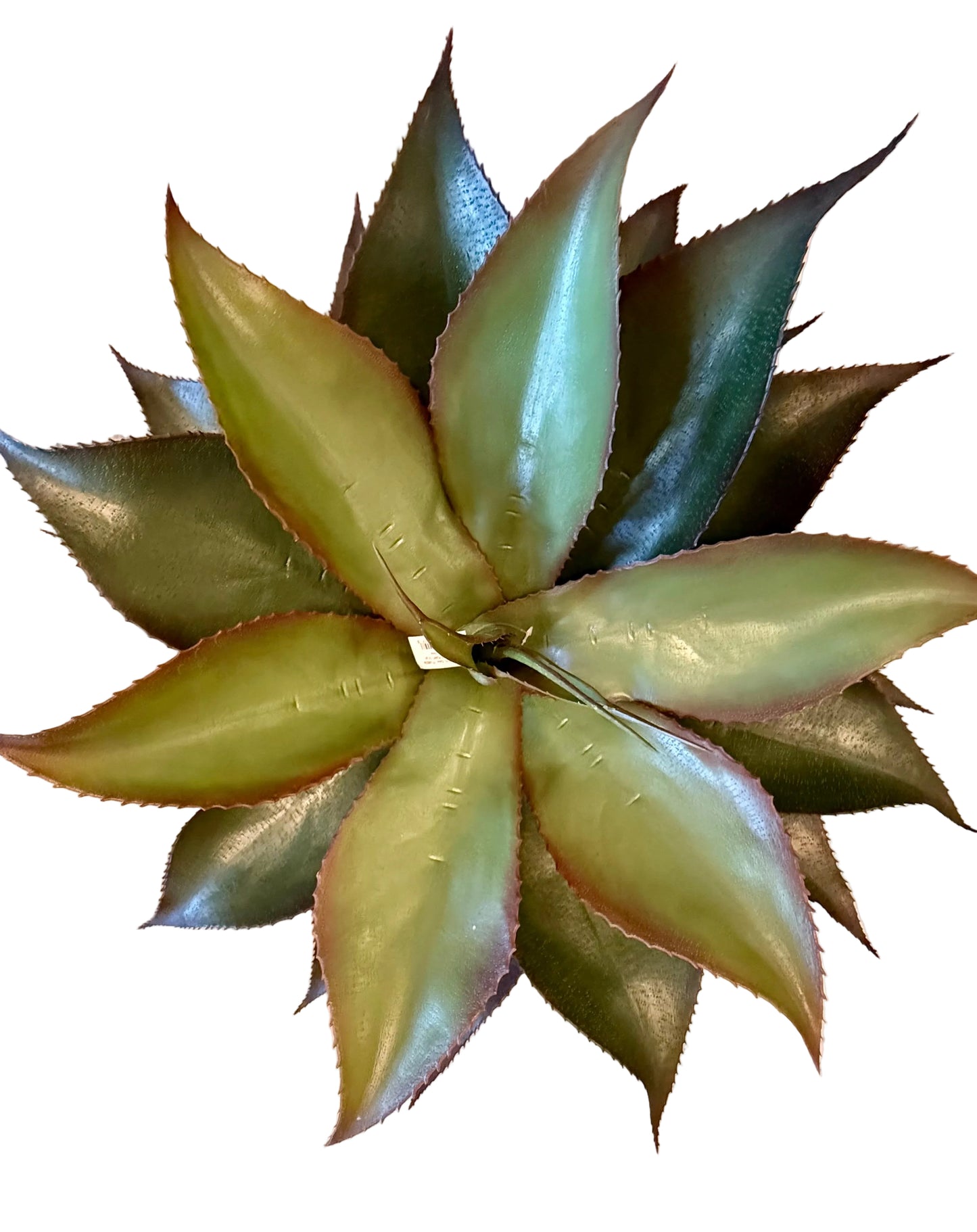22" Potted UV Agave Plant