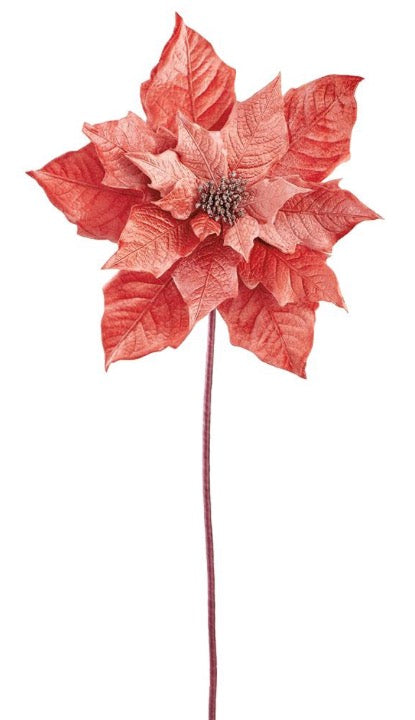38" Coral Velvet Poinsettia Spray
