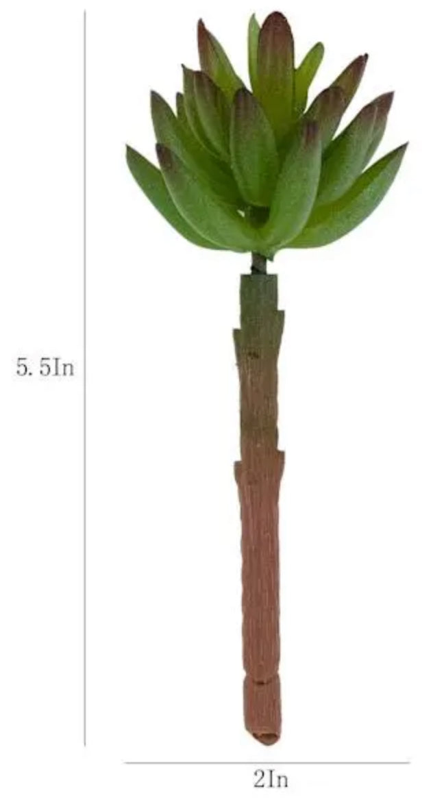 Green Succulent Pick