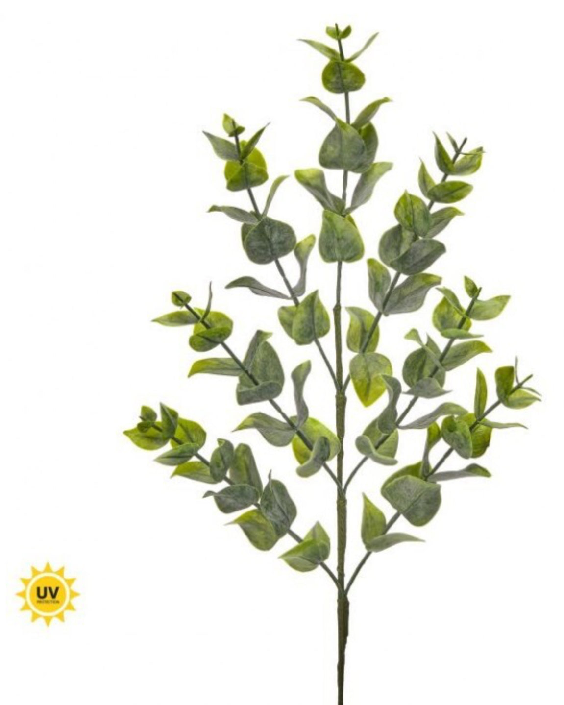 UV Eucalyptus Stem