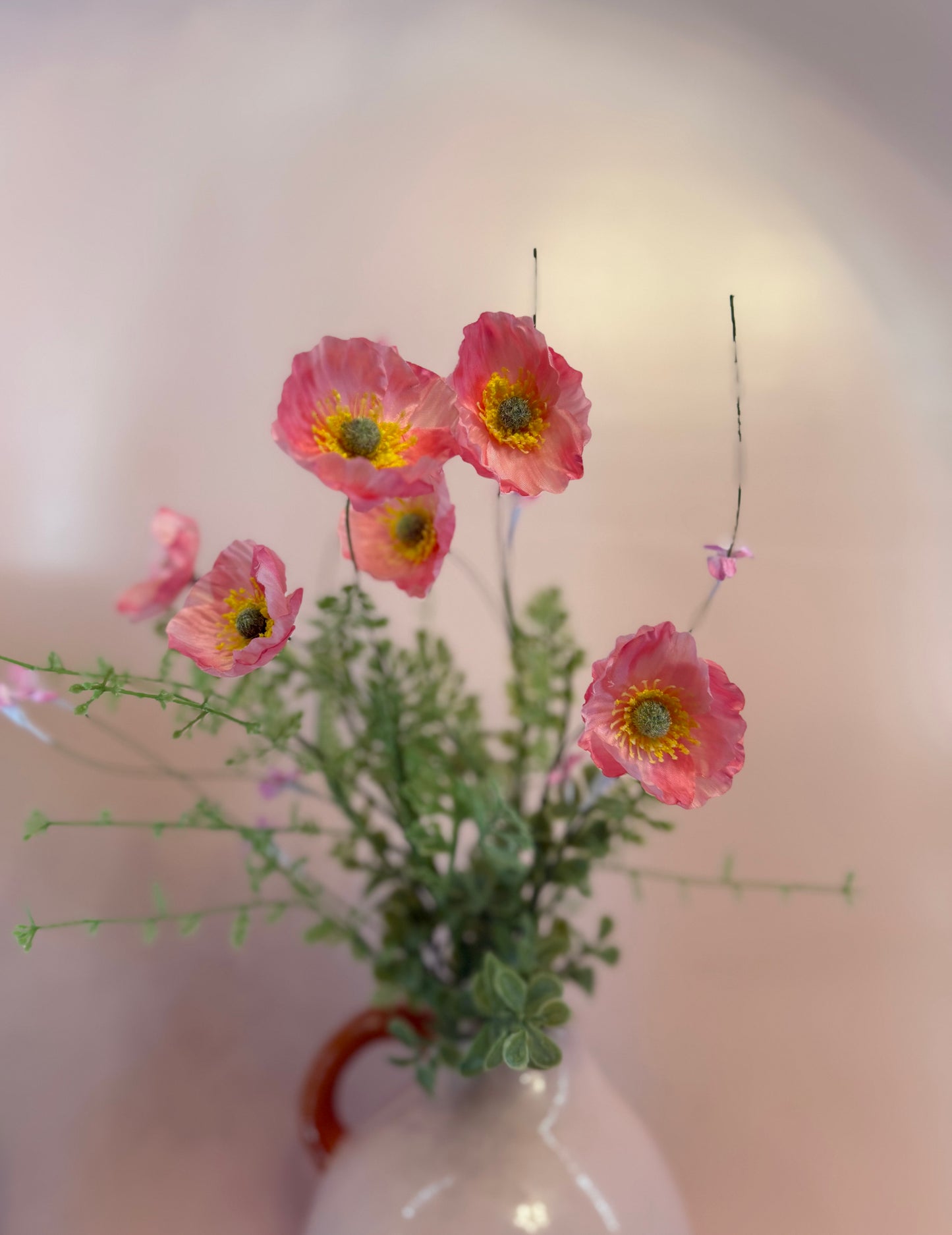 Wild Poppy Bush