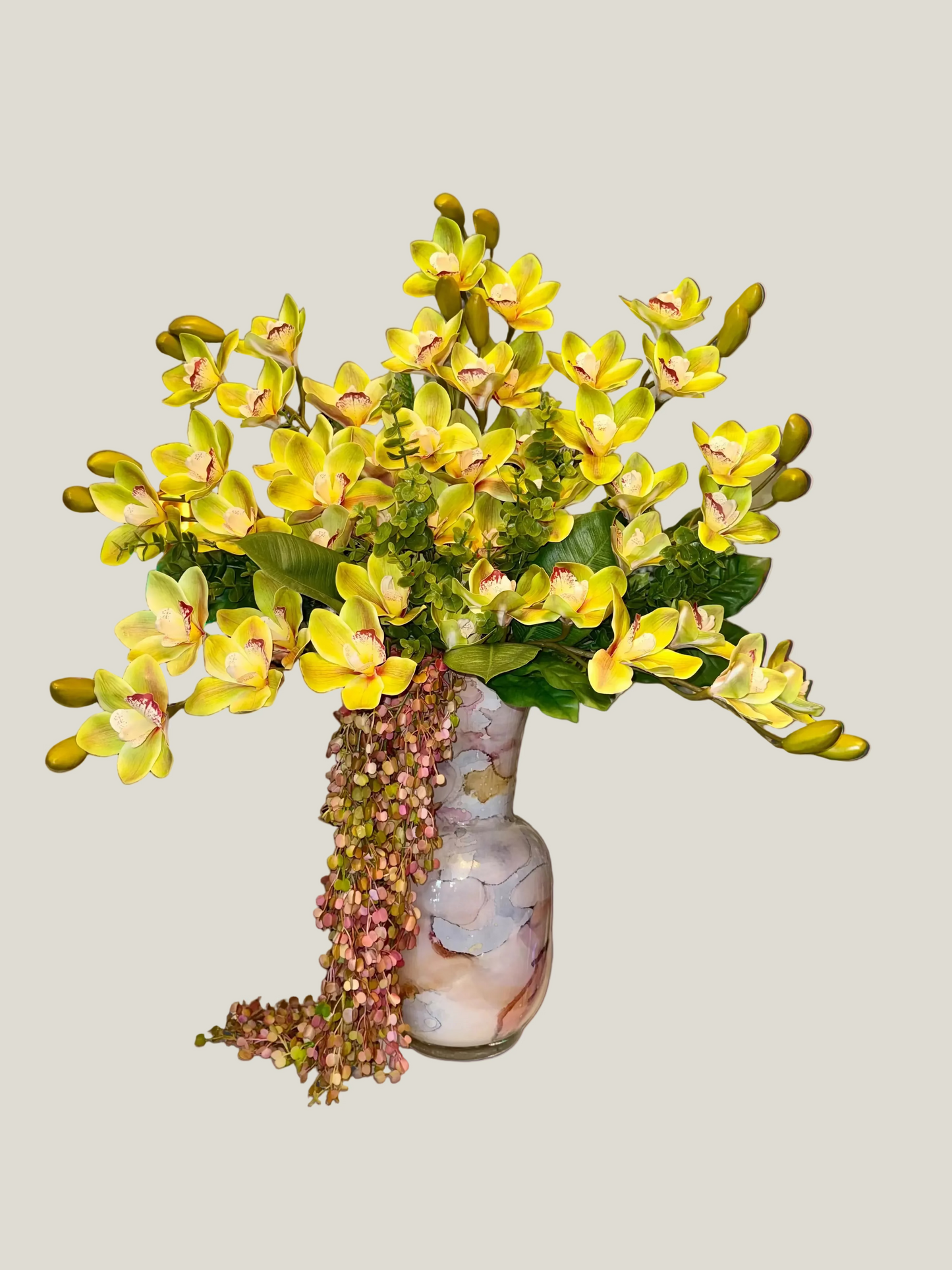Cymbidium Orchid Splendor