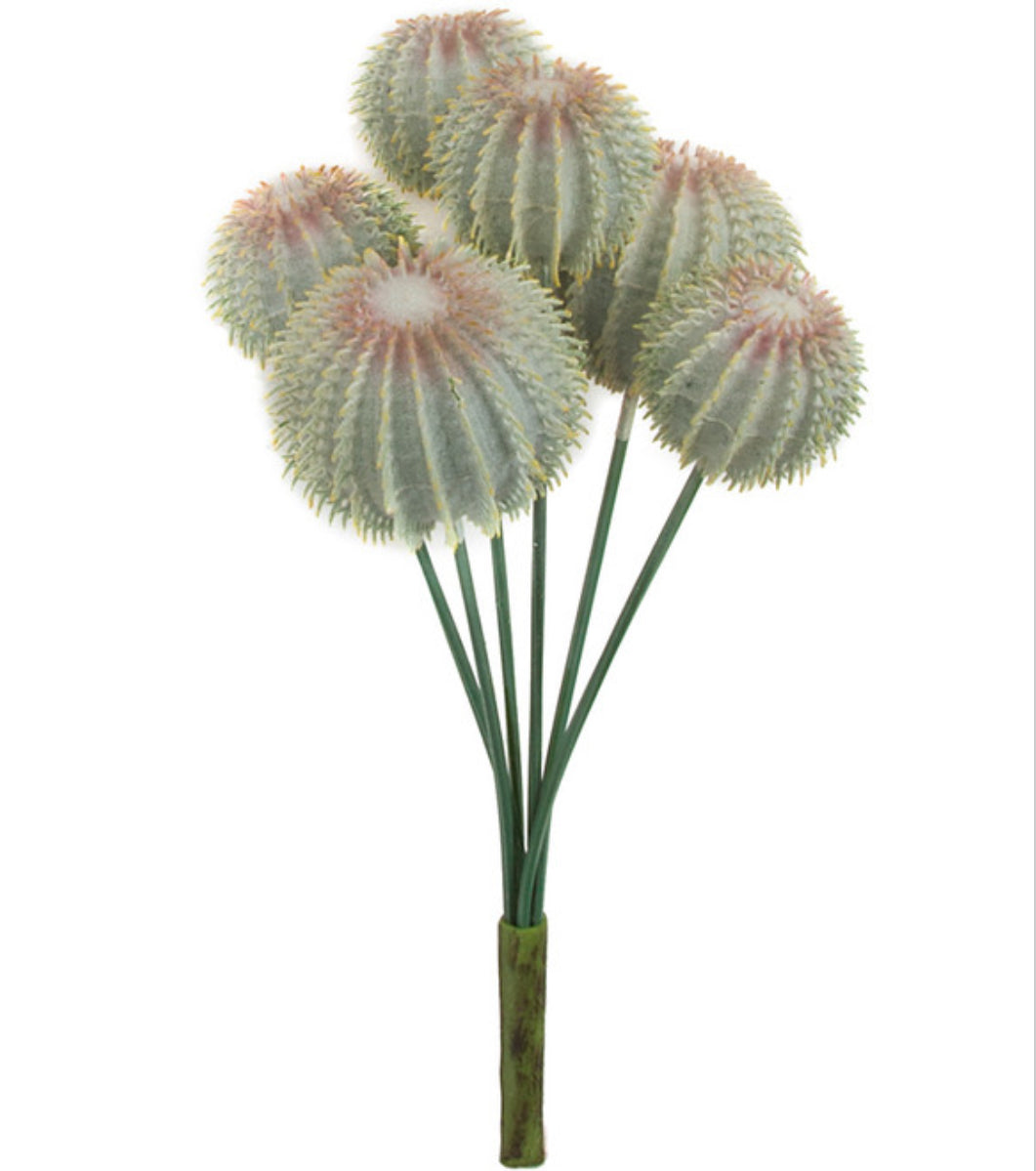 Flocked Barrel Cactus Bunch