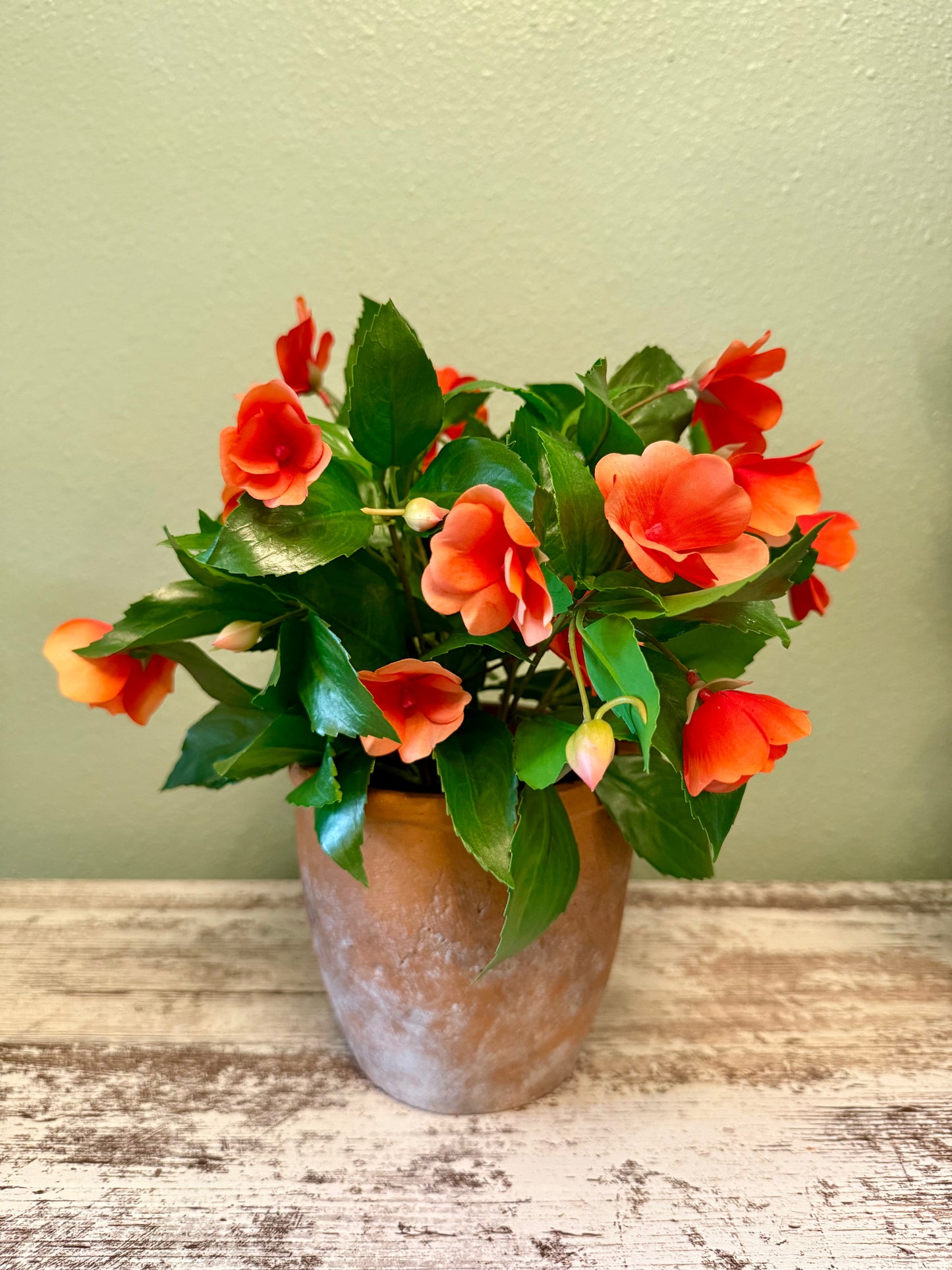 UV Resistant Vibrant Impatiens Arrangement