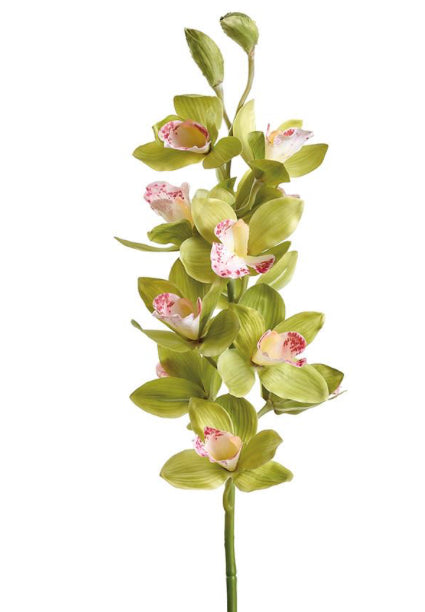 Real Touch Cymbidium Stem