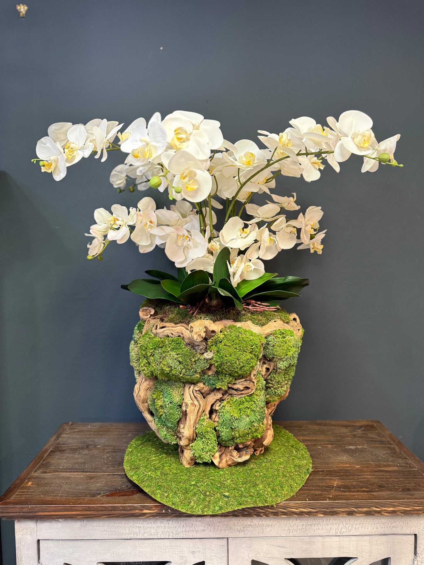 Real Touch Phalaenopsis Orchids in a Grape Wood Root Vase