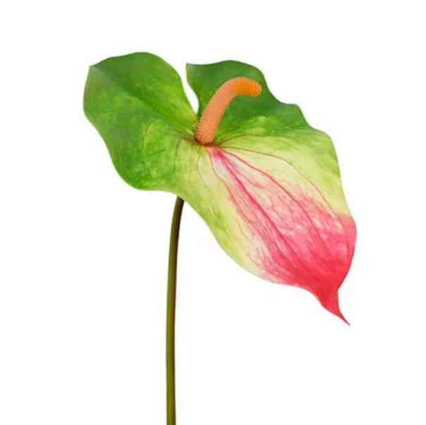 Real Feel Anthurium Stem