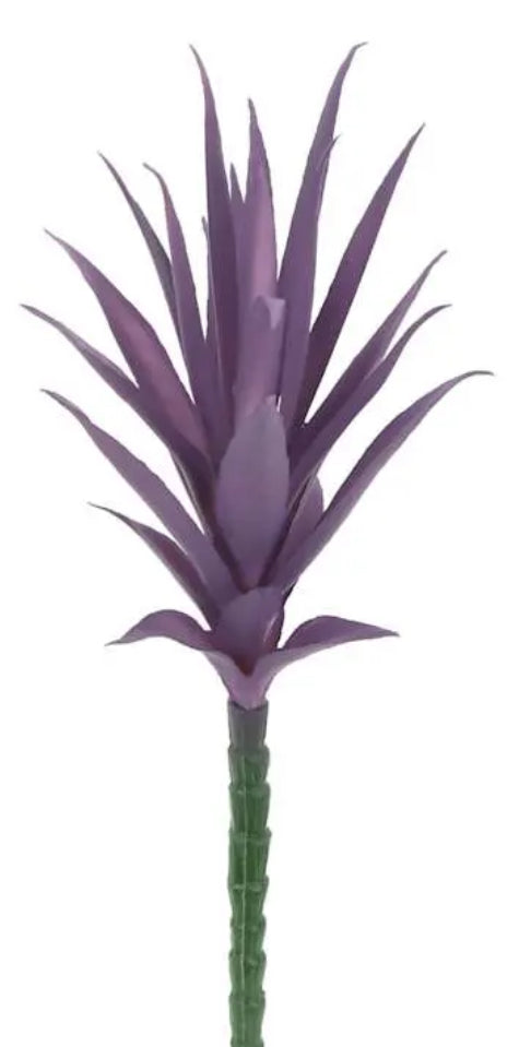 Purple Air Plant  Kingdom Floral Designs by Amber