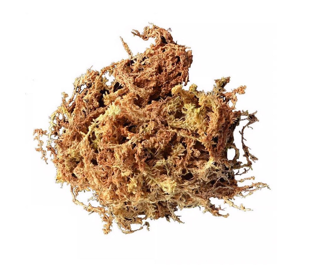 Long Fibered Sphagnum Moss