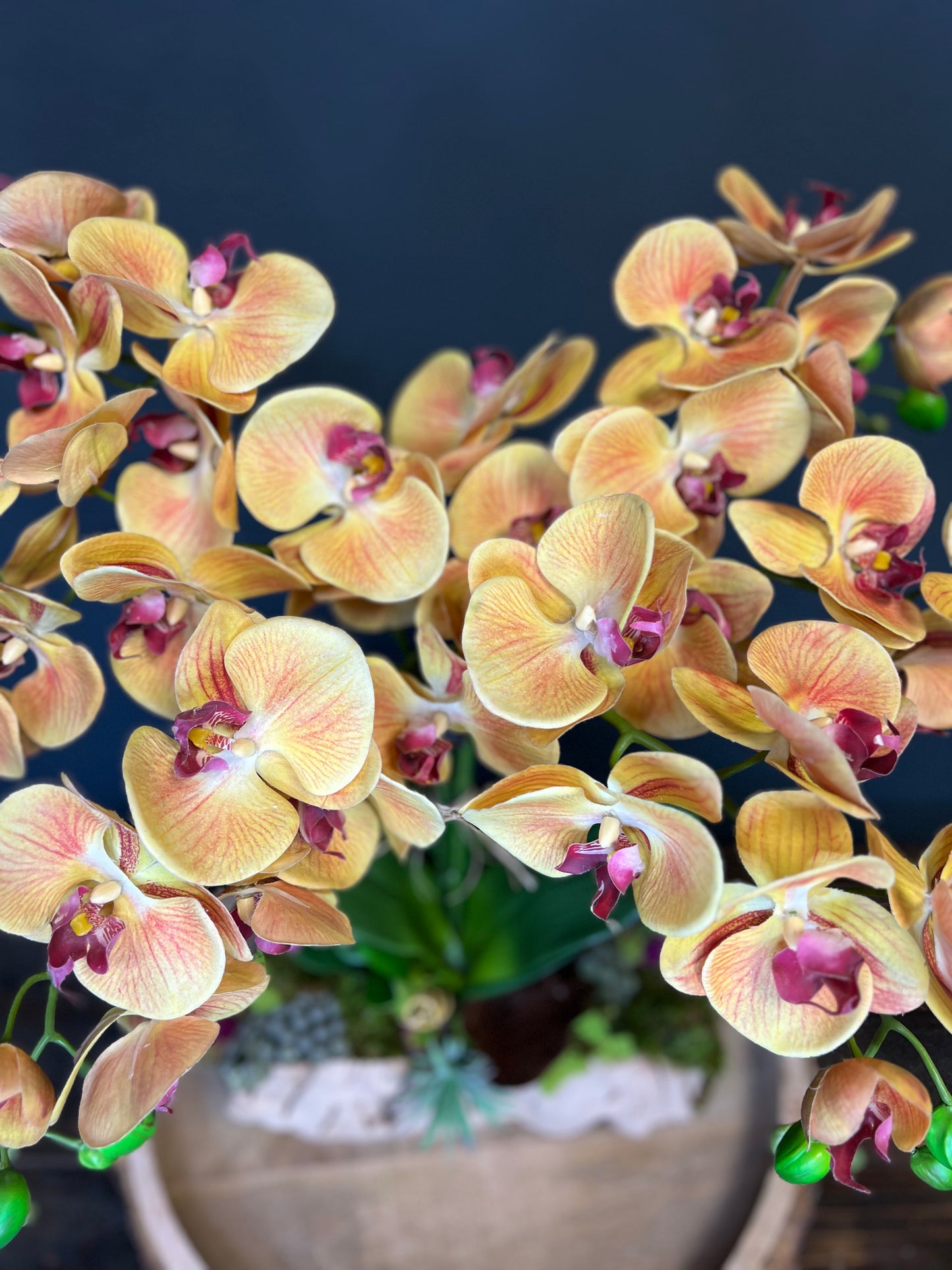 Grapevine & Real Touch Orchid Arrangement