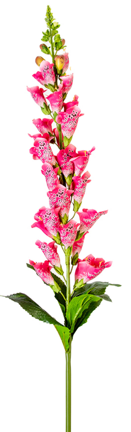 42” UV Protected Foxglove Stem
