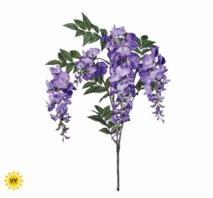UV Treated Wild Wisteria Stems