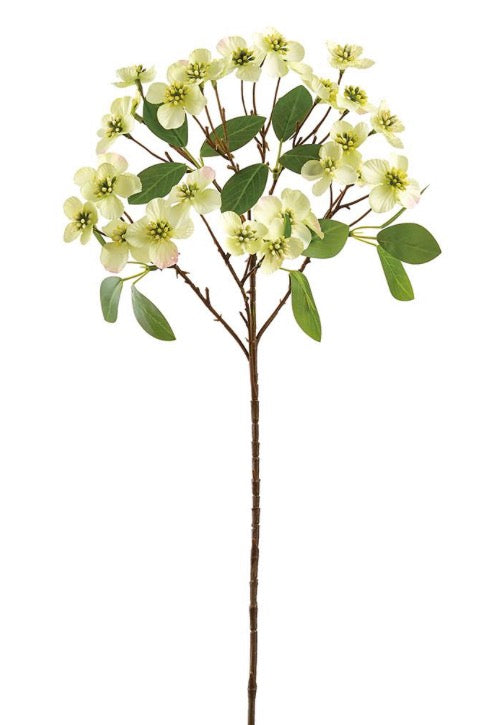 28” Pale Green Dogwood Spray
