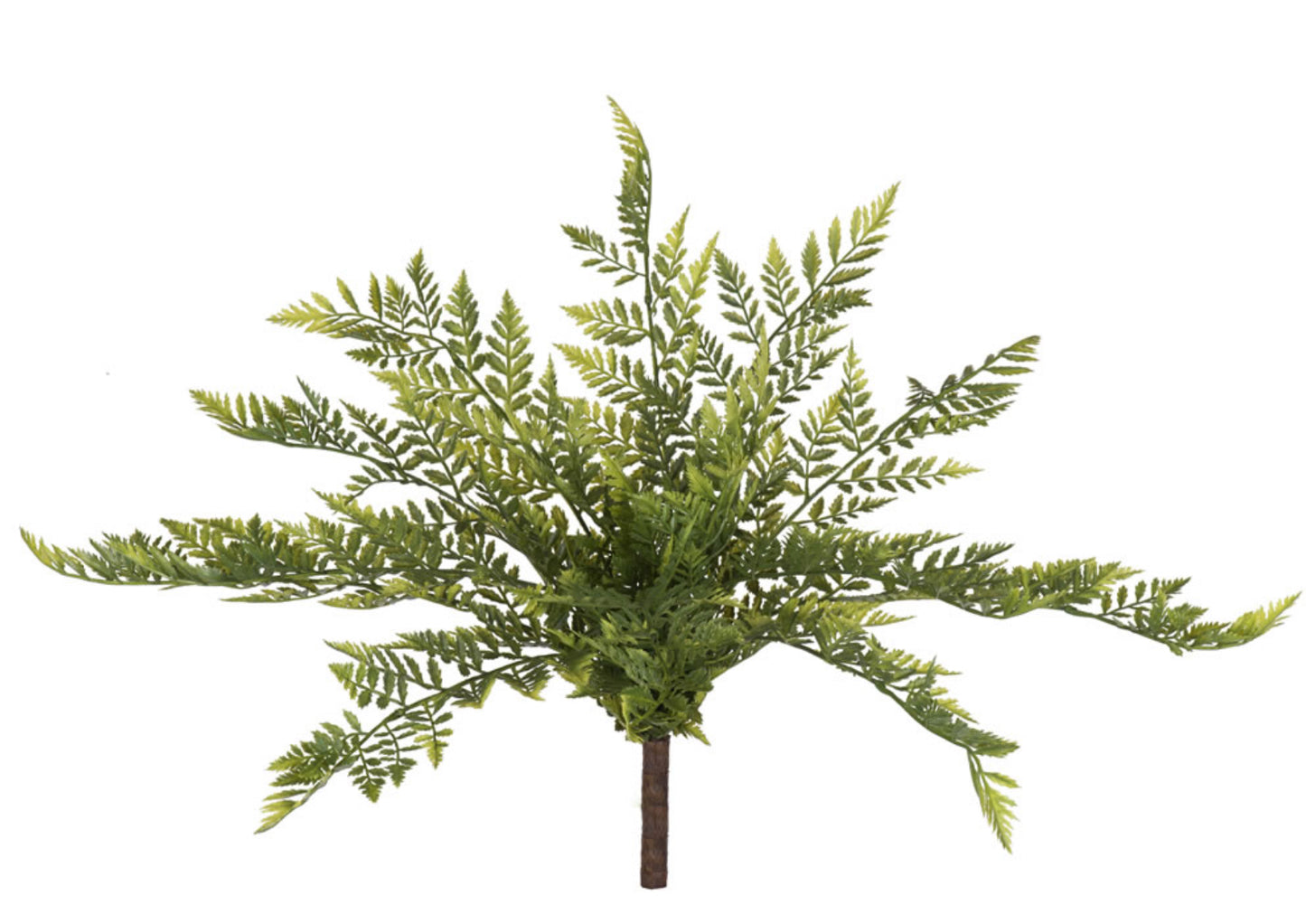 17" Artificial Green Rabbit Foot Fern Bush