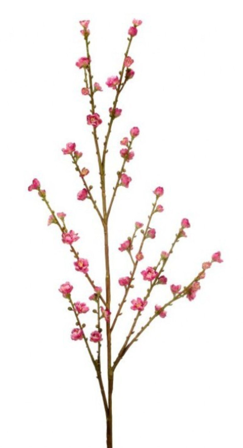 Plum Blossom Spray