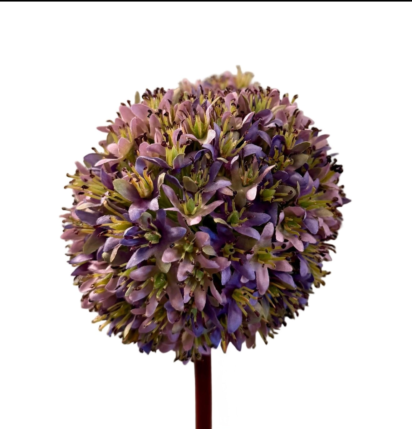 26” Allium Stem