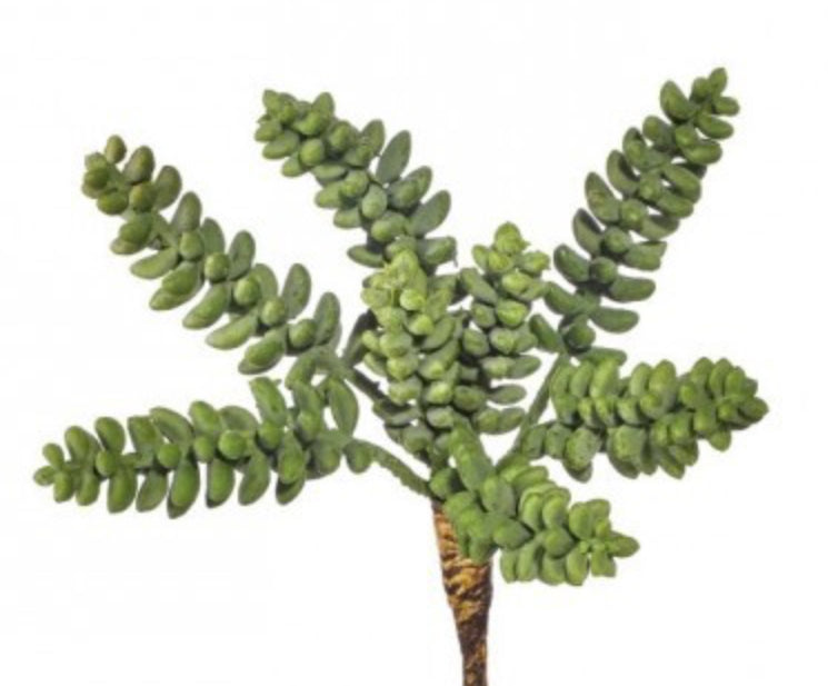 UV Real Touch Sedum Succulent Pick