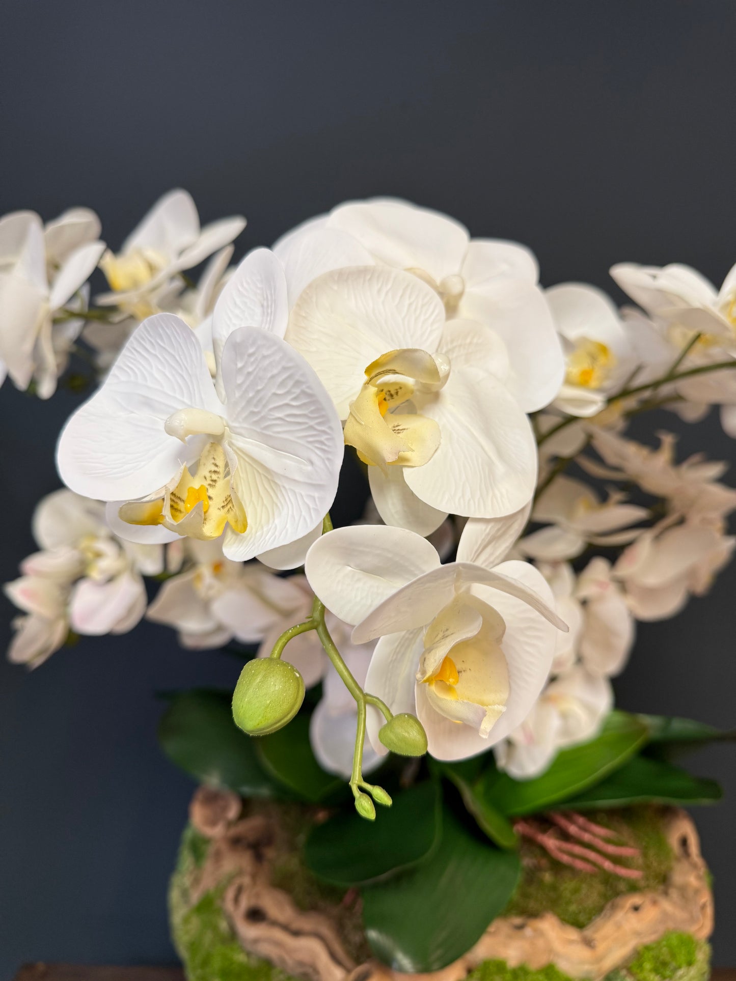 Real Touch Phalaenopsis Orchids in a Grape Wood Root Vase