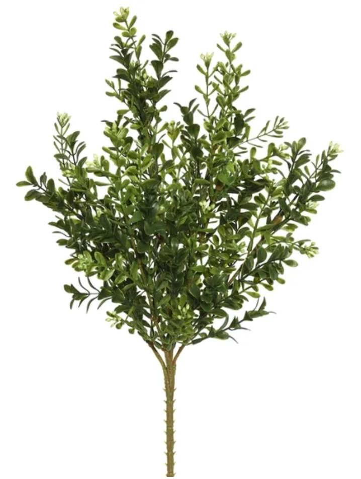 18" Real Touch Summer Boxwood Bush