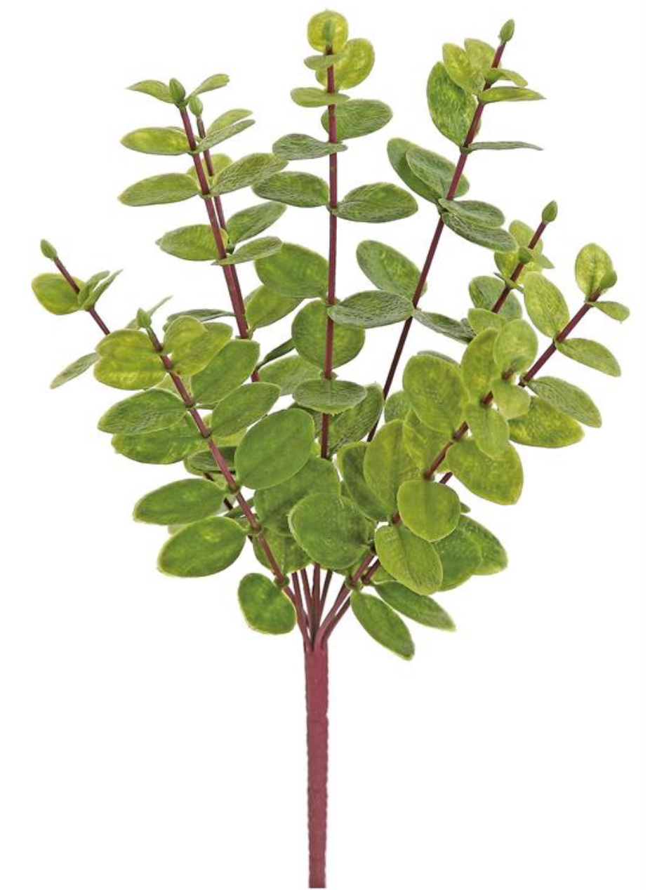 17" GREEN EUCALYPTUS PLANT