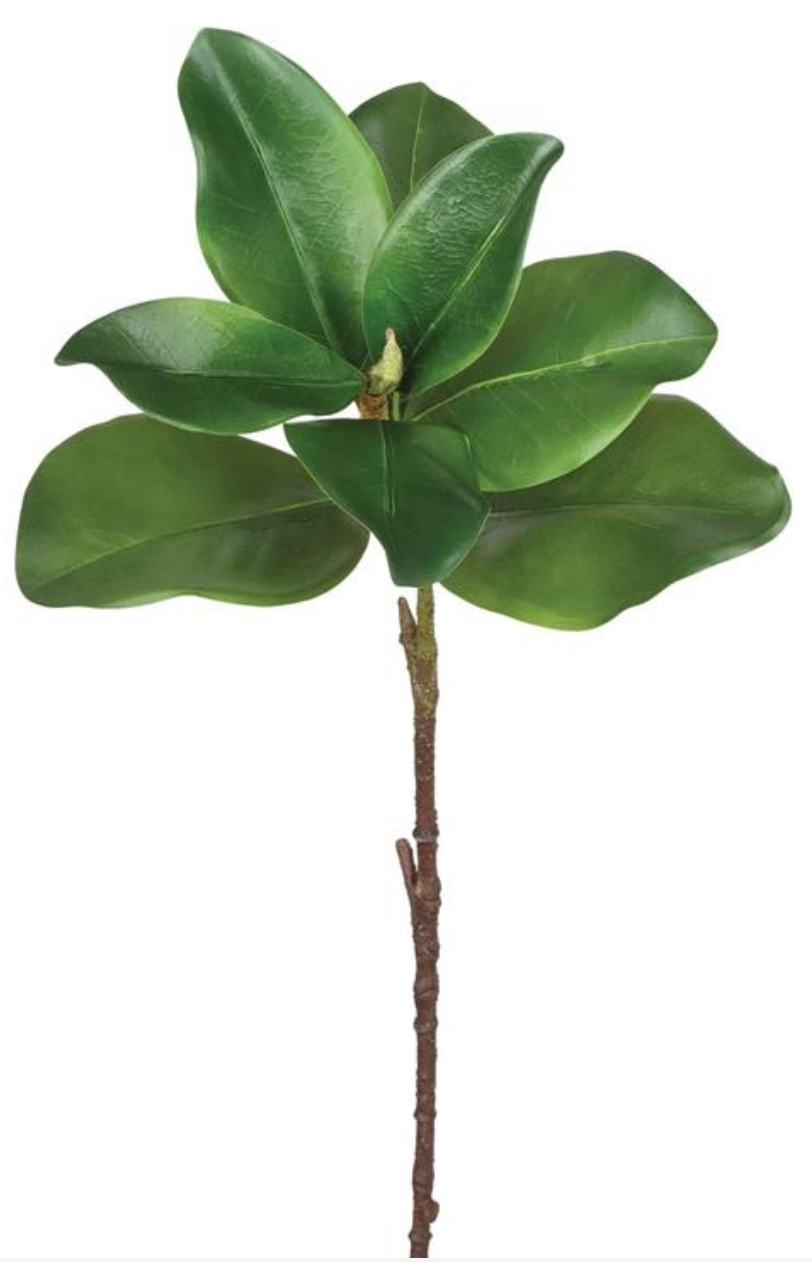 23" GREEN MAGNOLIA LEAF SPRAY