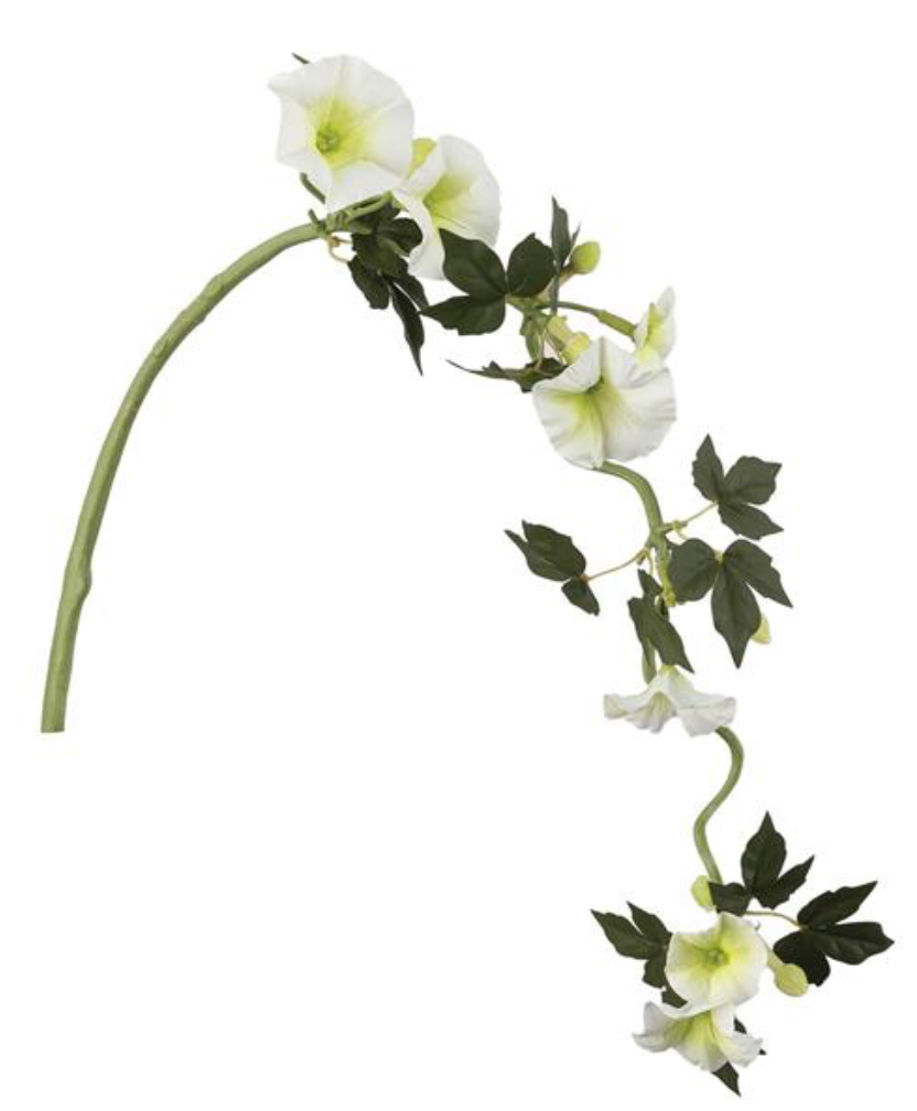 14" WHITE CLEMATIS VINE