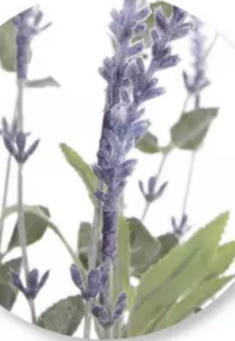 Flocked Lavender Bush