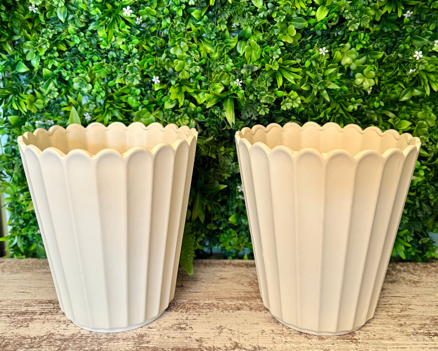 White Scalloped Terracotta Planter