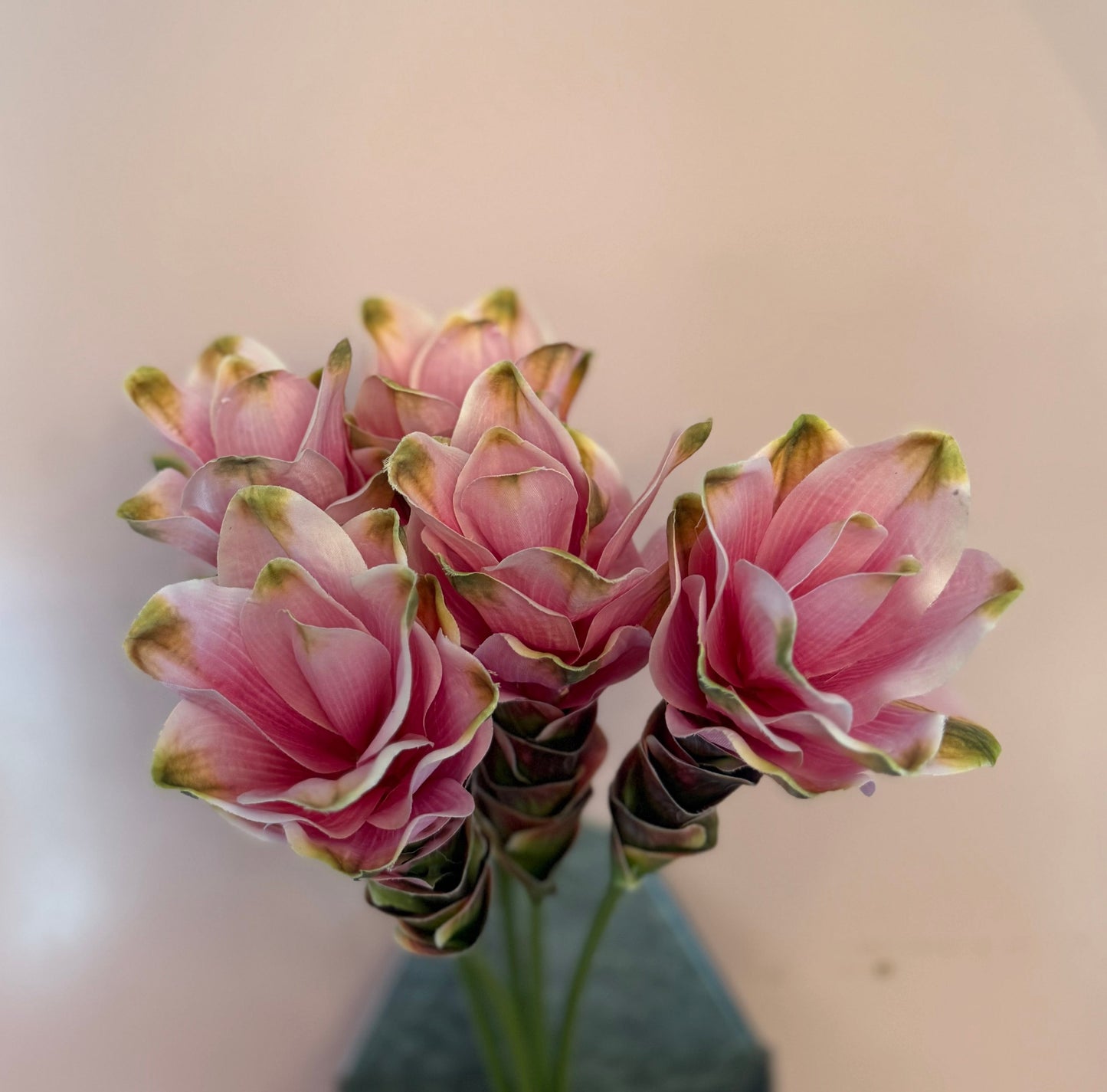 Turmeric Flower Bundle of 4