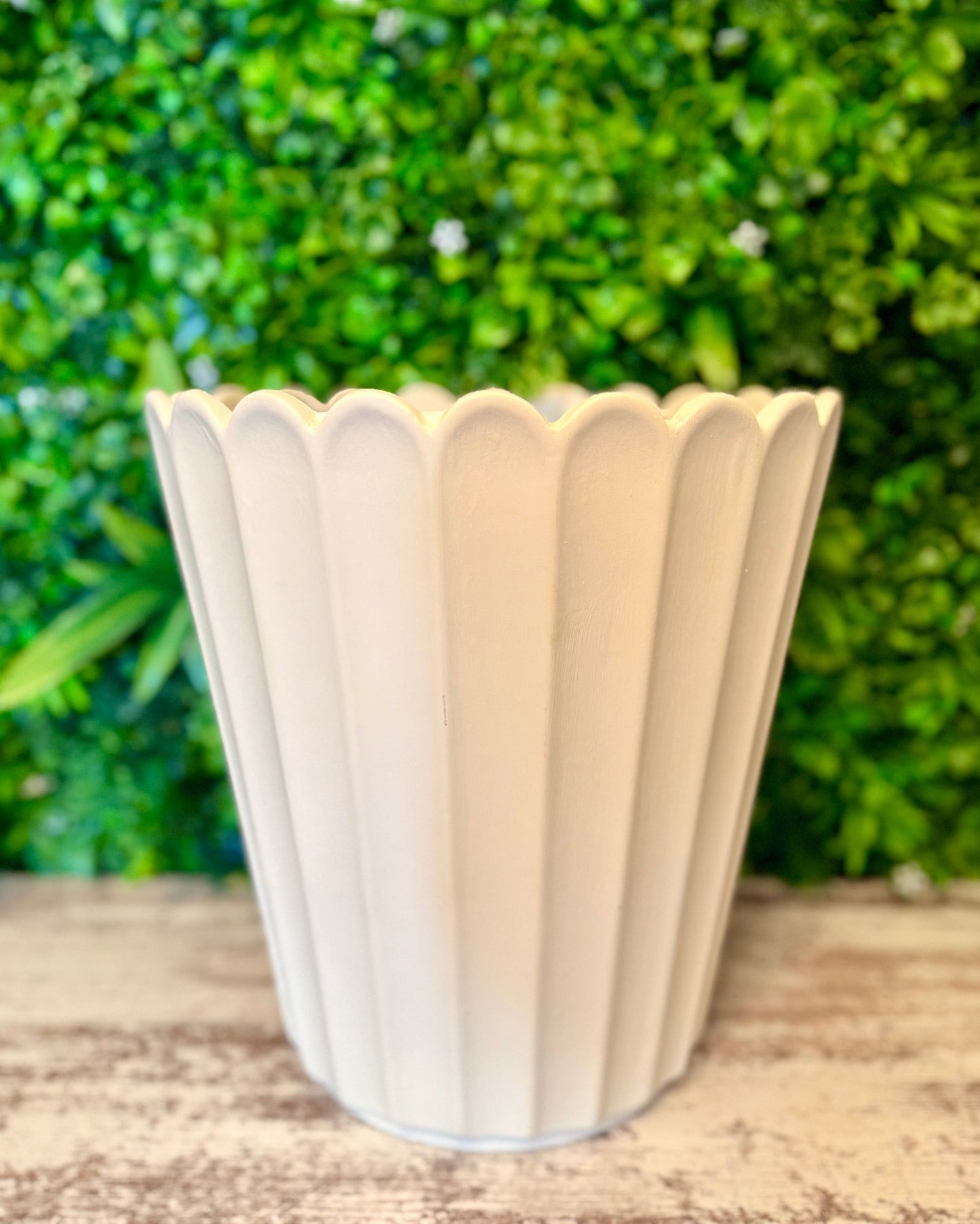 White Scalloped Terracotta Planter