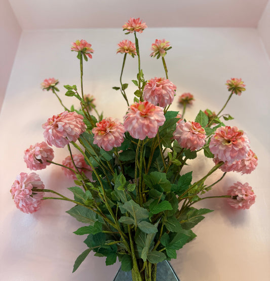 3 Bloom Dalia Stem