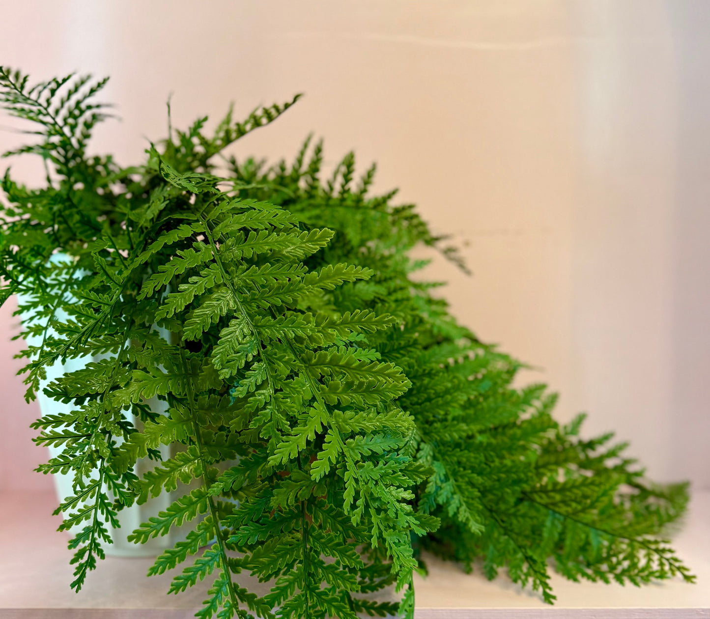 UV Resistant Hanging Ostrich Fern Bush