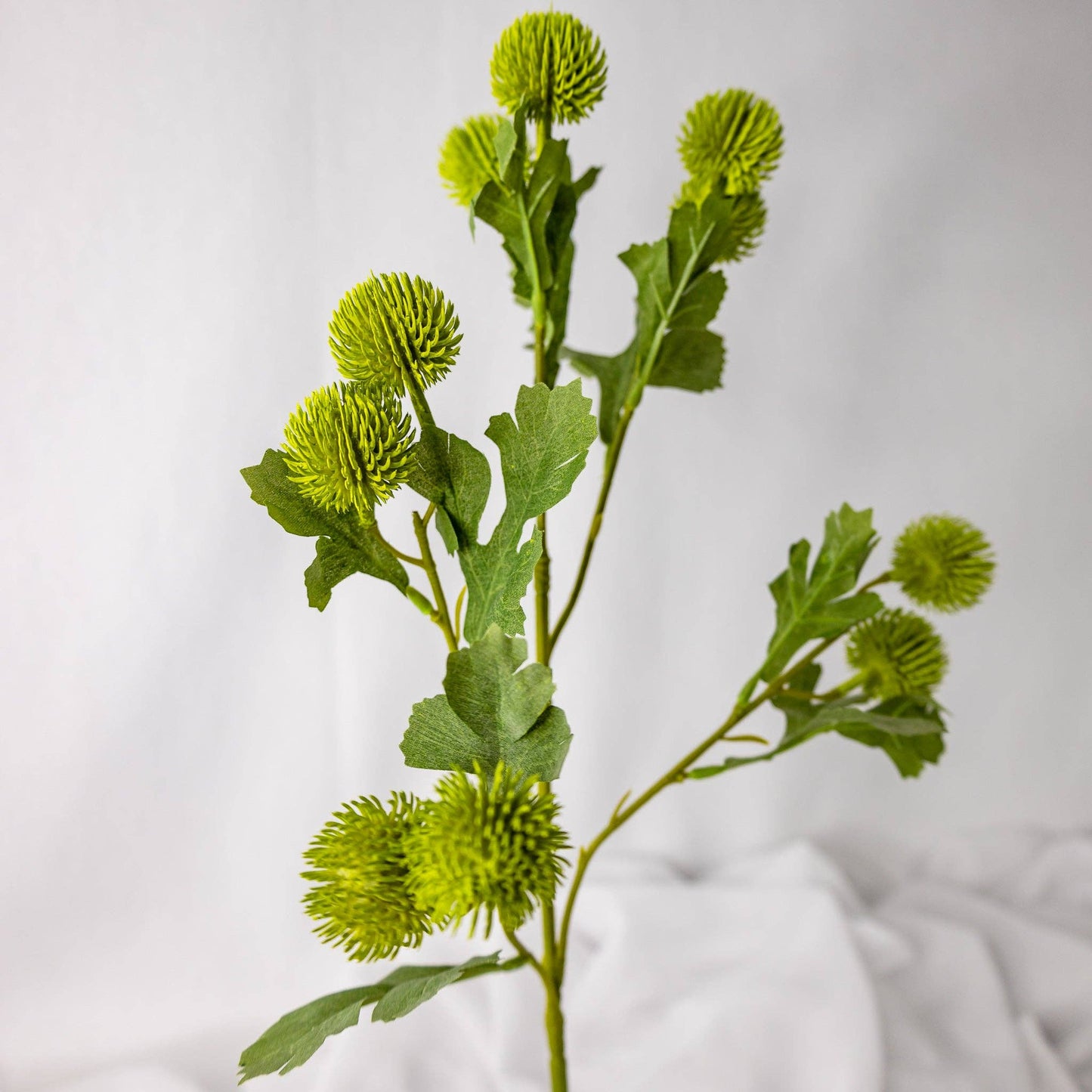 Green Pom Pom Spray: Single Stem