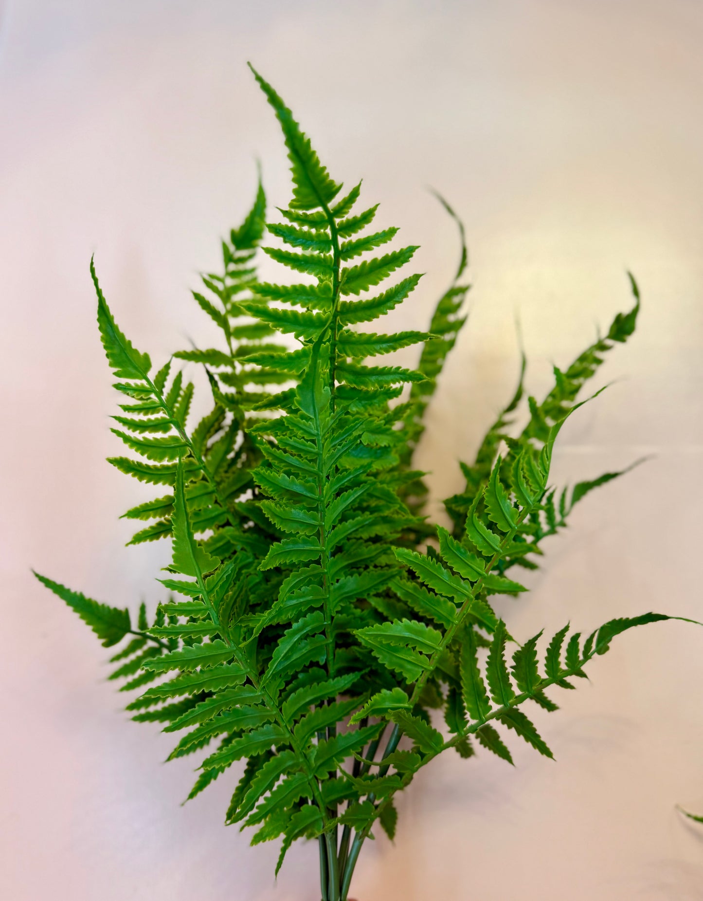 Natural Touch Boston Fern Bush