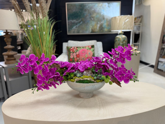 Graceful Orchid Display