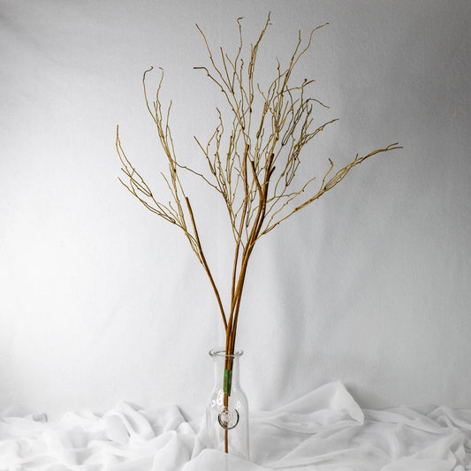 Dodo Branch Twigs: Single Stem