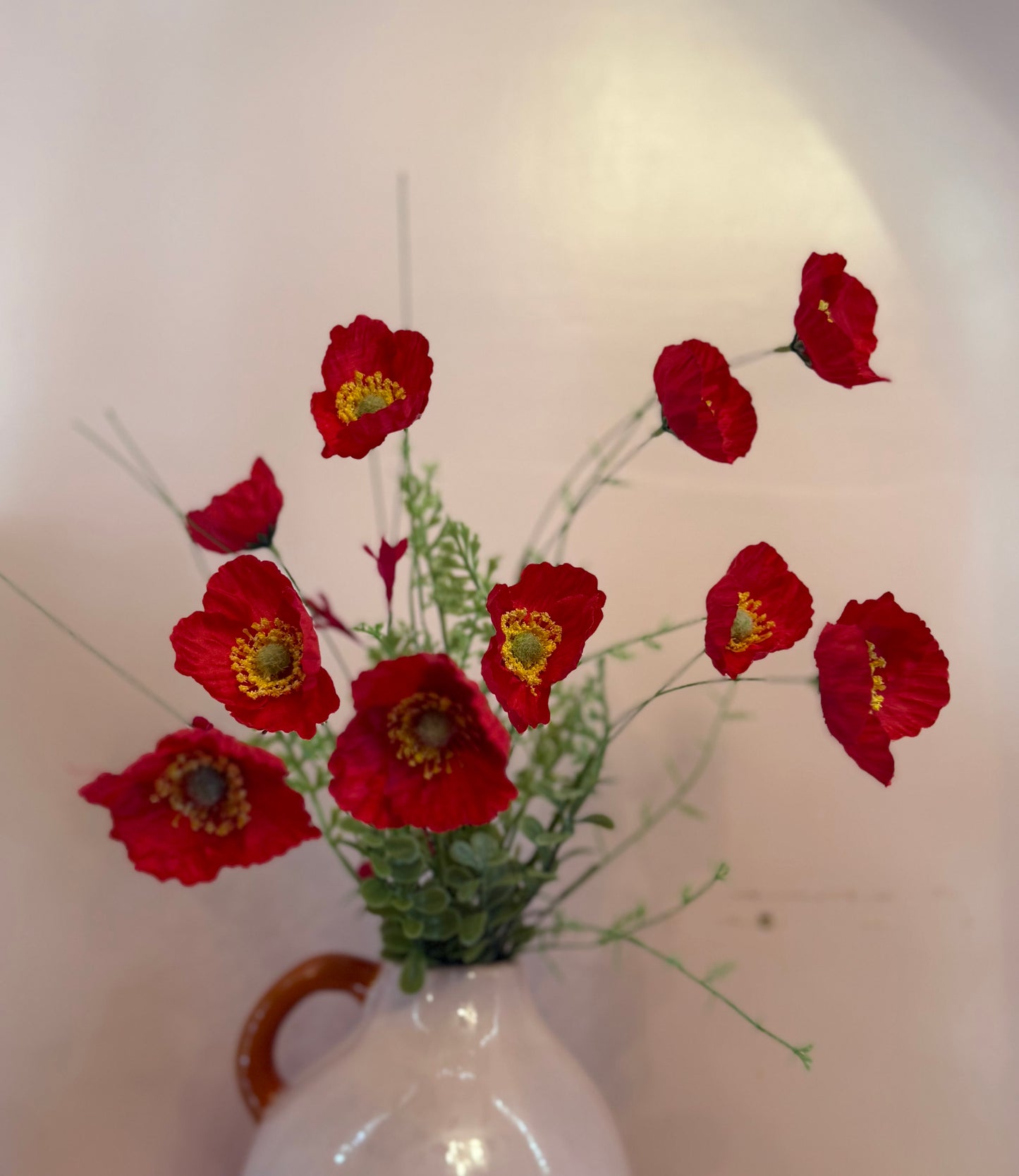Wild Poppy Bush