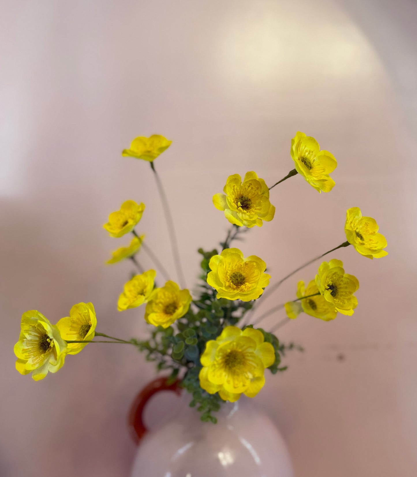 Wild Poppy Bush