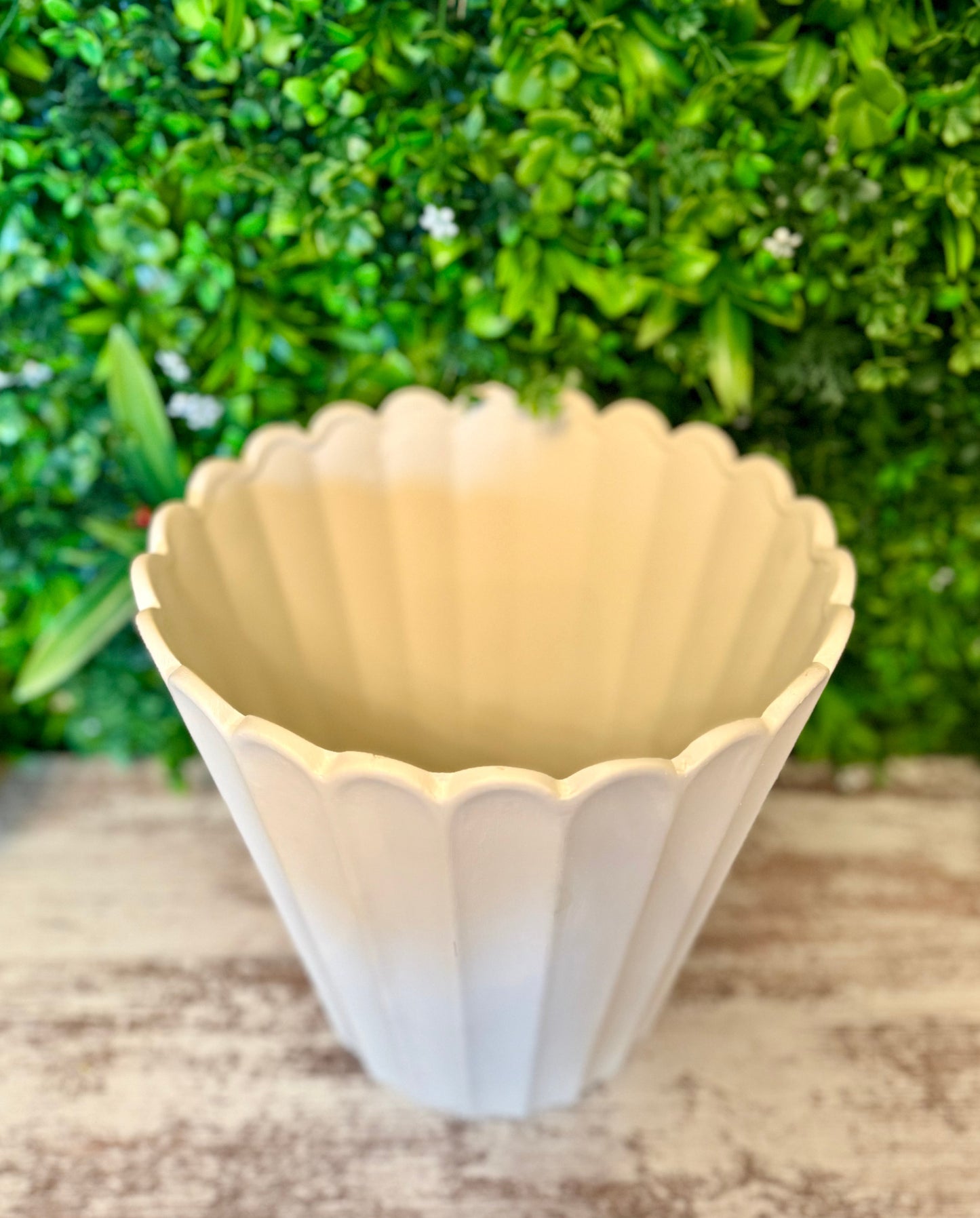White Scalloped Terracotta Planter